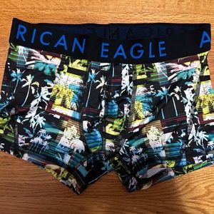 American Eagle Trunks Medium